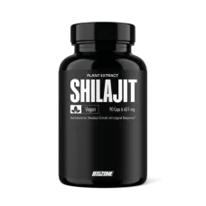 Big Zone Shilajit 90 Kapseln