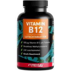 ProFuel Vitamin B12, 240 Lutschtabletten