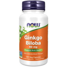 Now Foods Ginkgo Biloba, 60 mg, Kapseln