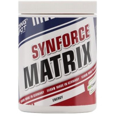 Bodybuilding Depot SYNforce Matrix, 500 g Dose