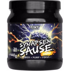 TNT Synapsensause Trainingsbooster, 440 g Dose