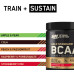Optimum Nutrition Gold Standard BCAA Train + Sustain, 266 g Dose