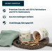 brandl Intra Post Endurance, 600 g Dose