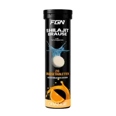 FGN Shilajit 20 Brausetabletten
