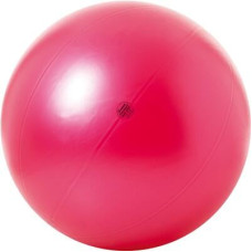 TOGU Theragym Ball ABS