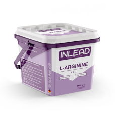 Inlead L-Arginin HCL, 500 g Dose