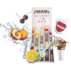 WAM move BCAA Ice, 15 x 40 ml Wassereis, Mix