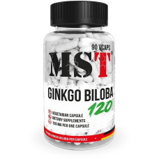 MST Ginkgo Biloba, 90 Kapseln