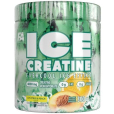 FA Nutrition Ice Creatine, 300 g Dose