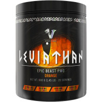 Viking Power Leviathan Hardcore PWO, 660 g Dose, Orange